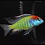 Lethrinops Red Cap 4-7cm - Imagem 1