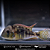 Gymnogheophagus 8-12cm - Imagem 1