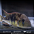 Gymnogheophagus 8-12cm - Imagem 8