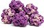 CARIBSEA ROCHA LIFE ROCK - Cor natural - Caixa com 18,14 Kg - Imagem 1