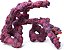 CARIBSEA ROCHA LIFE ROCK KIT FORMAS - 9,07 Kg - Caixa com 2 arcos de 30,48 cm, 1 caverna e 1 donut (anel) - Imagem 3