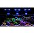 Maxspect Ethereal E8 - 230W - Imagem 2