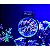 Maxspect Pastel Reef Magnifier Grande - Lente para Visualizar Corais - Imagem 2
