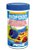 Ração Prodac Marine Flakes (biofood) 50G - Imagem 1