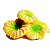 Enfeite de Silicone Soma Coral Plate Amarelo - Imagem 1