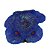 Enfeite de Silicone Soma Coral Ricordea Azul 02 - Imagem 1