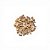 PlantPro Mini Dragon Stone - Saco de 1 kg - Imagem 3