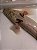 Polypterus Endlicheri Platinum 13-17cm - Imagem 2
