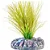Planta Artificial para Aquário Plastic Plant 30cm Mayaca Sellowiana Sint. Green - Imagem 1