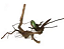 MAXXI RAIZ ORNAMENTAL 30a40CM - Imagem 1