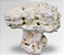 ARNOEX PEDESTAL NAT REEF ROCK 10-20CM 9PÇS 22KG - Imagem 1