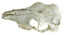 NOMOYPET NS-74 CRANIO BOI 21X7CM - Imagem 1