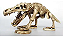NOMOYPET NS-99 ESQUELETO DINOSSAURO 19X9,5X8,5CM - Imagem 1