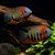 Severum Red Slounder 8-12cm - Imagem 1