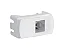 Modulo Tomada RJ11 2 Fios Branco Miluz S3B74900 Schneider - Imagem 1