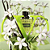 PERFUME VALENTINO BORN IN ROMA DONNA GREEN STRAVAGANZZA FEMININO EAU DE PARFUM - Imagem 3