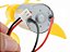 Mini gerador eólico (kit motor e pas) - 5.5V-100mA - Imagem 4