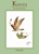 Kontos - Pocket - Imagem 1