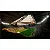 JOGO EA SPORTS FC 24 PS5 USADO - Imagem 3
