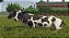 JOGO FARMING SIMULATOR 25 PS5 NOVO - Imagem 3