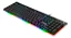 TECLADO GAMER REDRAGON MEMBRANA DYAUS 2RGB PRETO NOVO - Imagem 3