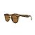 Óculos de Sol Ferrovia Wayfarer Proteção UVA e UVB 790206 - Imagem 4