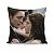 Almofada Crepúsculo Twilight Saga Edward e Bella - Imagem 1