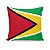 Almofada Bandeira Guiana País - Imagem 1