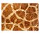 Jogo Americano (Kit 4 Unidades) Nerderia e Lojaria pele girafa colorido - Imagem 1