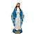 Imagem de Nossa Senhora das Graças [Gesso/30cm] - Imagem 1
