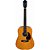 Violão Giannini Perform GDR Plus Eletro Aço Natural Glossy - Imagem 1