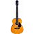 Violão Giannini Perform GAD Plus Eletro Aço Natural Glossy - Imagem 1
