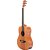 Violão Strinberg FS1A Aço Eletroacústico Mogno Color Satin - Imagem 3