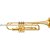 Trompete Yamaha YTR-3335 Bb Laqueado - Imagem 1