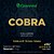 Encordoamento Pra Viola Aço Leve Série Cobra Giannini GESVNL - Imagem 1