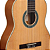 Violão Tagima Paraty Clássico Nylon Natural Satin - Imagem 10