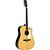 Violão Tagima Andes Eletroac Folk Aço Natural Amber Satin - Imagem 1