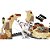 Lego Jurassic World Dinossauro Atrociraptor: Perseguição de Motocicleta 76945 169pcs - Imagem 4