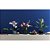 Lego Botanical Orquidea 10311 com 608pcs - Imagem 9