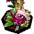 Lego Ideas Coleção de Insetos 21342 com 1111pcs - Imagem 7