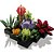 Lego Botanical Suculentas 10309 com 771pcs - Imagem 4