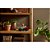 Lego Botanical Suculentas 10309 com 771pcs - Imagem 9