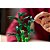Lego Botanicals Bambu da Sorte 10344 com 325 Peças - Imagem 8