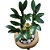Lego Botanicals Bambu da Sorte 10344 com 325 Peças - Imagem 5