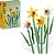 Lego Botanicals Narcisos 40747 com 740 Peças - Imagem 1