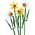 Lego Botanicals Narcisos 40747 com 740 Peças - Imagem 2
