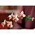 Lego Botanicals Mini Orquidea 10343 com 274 Peças - Imagem 7