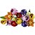 Lego Botanicals Buque De Tulipas 11501 com 576pcs - Imagem 2