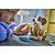 Lego Creator Cachorrinho Brincalhão 31382 com 336pcs - Imagem 8