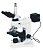 Microscópio Trinocular com Aumento 50X Até 1000X, Objetiva Planacromática Infinita - Imagem 1